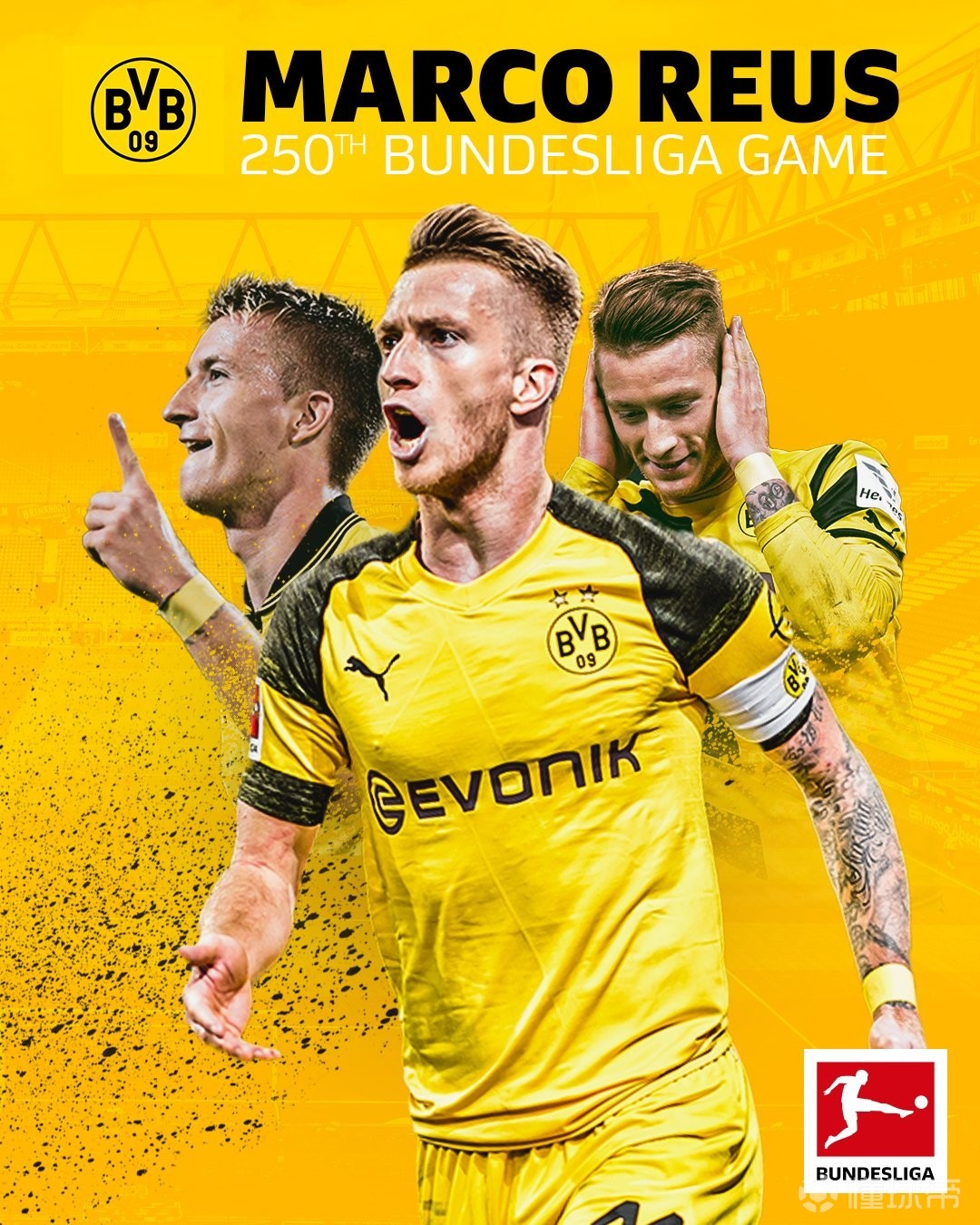 10吨-30吨大豆油浸出生产线